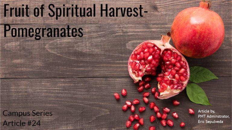 spiritual harvest meaning